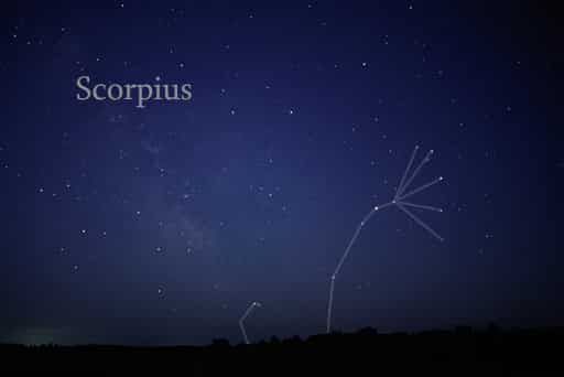 蠍座の星座
