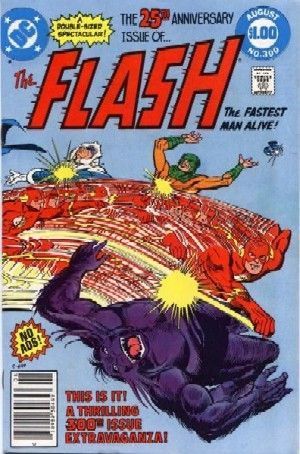 Flash 300-coveret