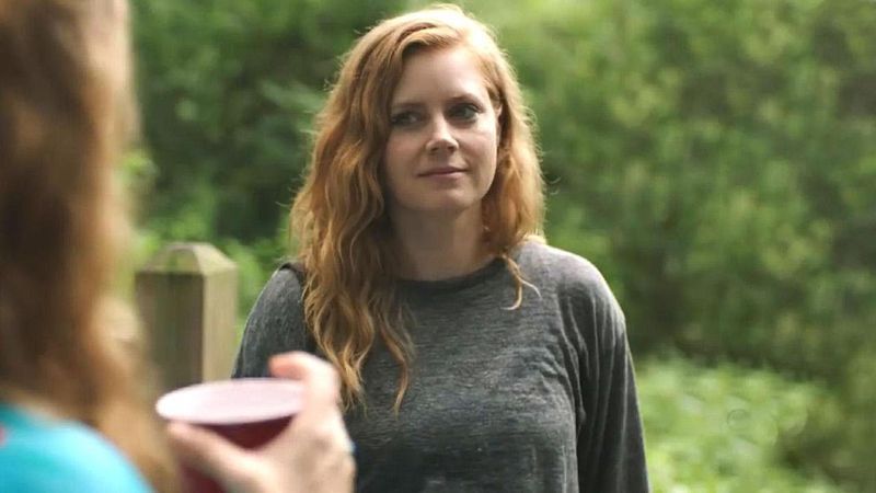 16 beste Amy Adams-roller