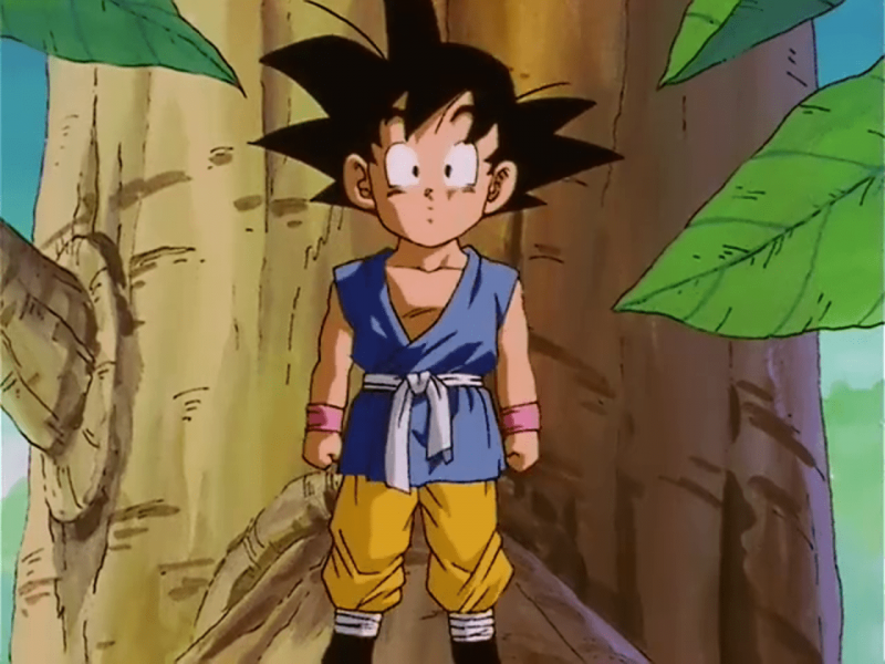   Kid Goku