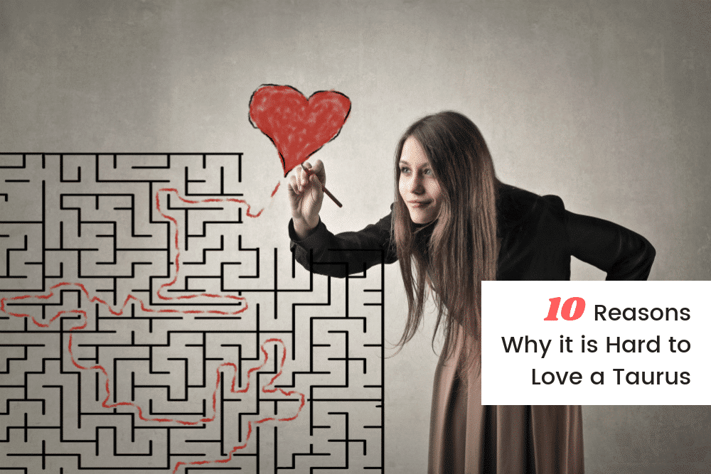 10 Gründe, warum es schwer ist, einen Stier zu lieben