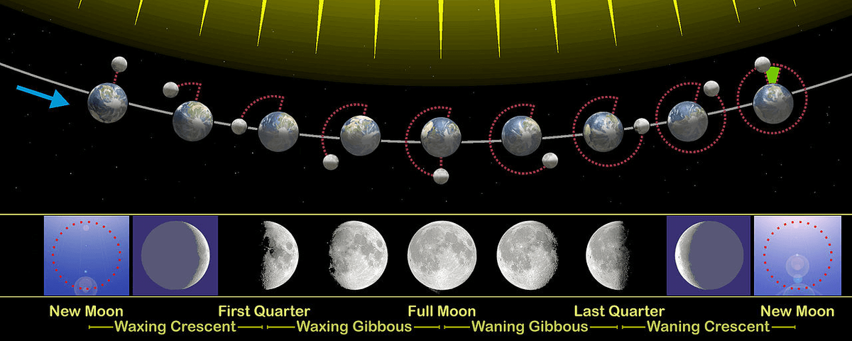 مراحل القمر ثلاثية الأبعاد