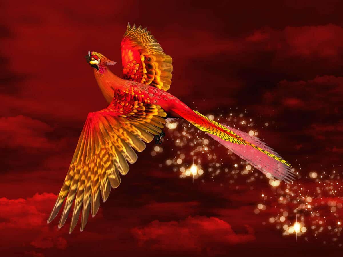 Feng Shui Red Phoenix: Guardian of the South