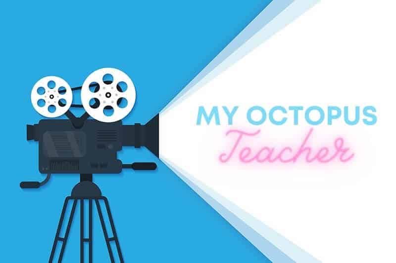 Filmanmeldelse: My Octopus Teacher