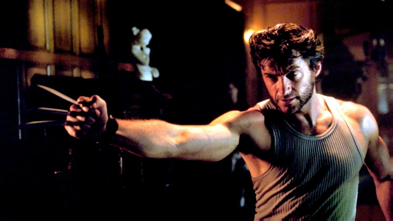  Wolverine