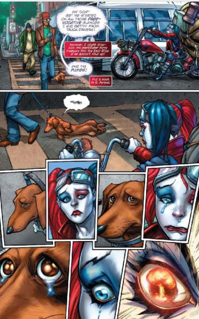   Harley Quinn rettet einen Hund vor einem missbräuchlichen Besitzer Foto u1?auto=format&fit=crop&fm=pjpg&w=650&q=60&dpr=1