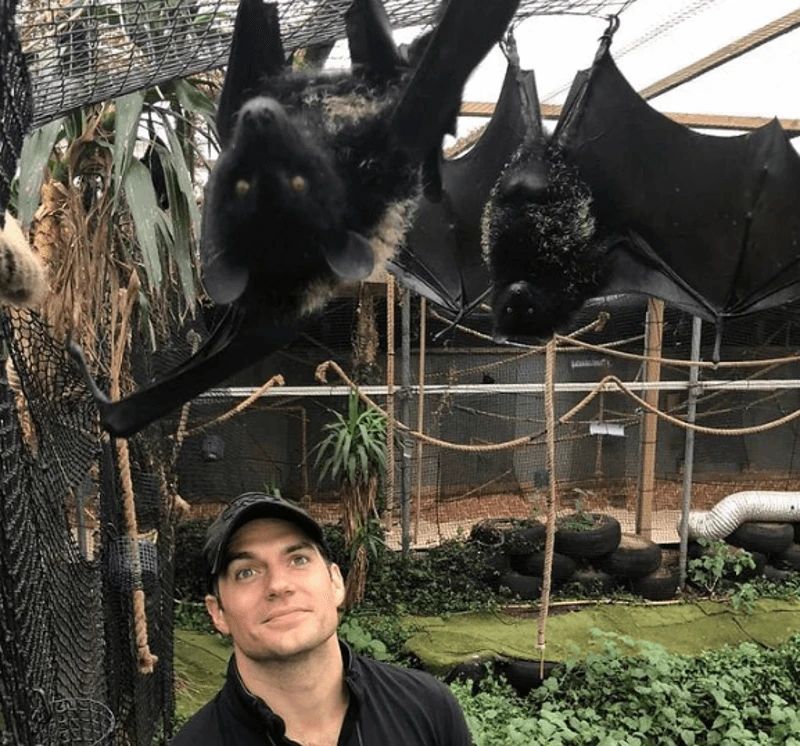   Henry Cavill su vaisiniu šikšnosparniu