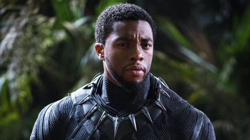   Chadwick Boseman in Black Panther