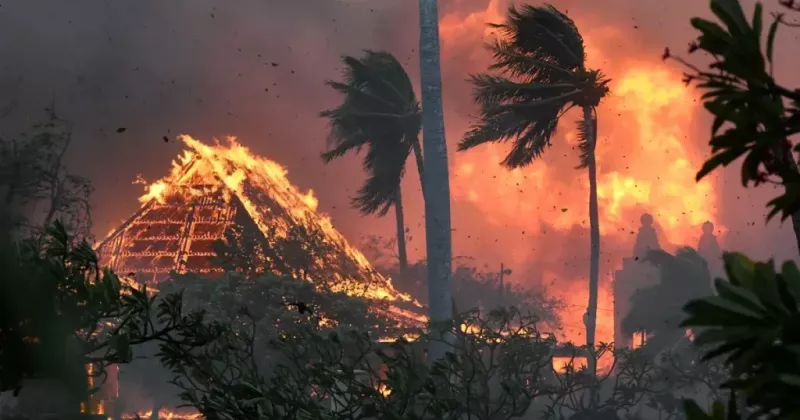 „Nächstes Mal werde ich besser sein“ – Dwayne Johnson schweigt über die Kritik am Maui Wildfire Fund und erklärt, wie sein Team das gespendete Geld verwendet hat