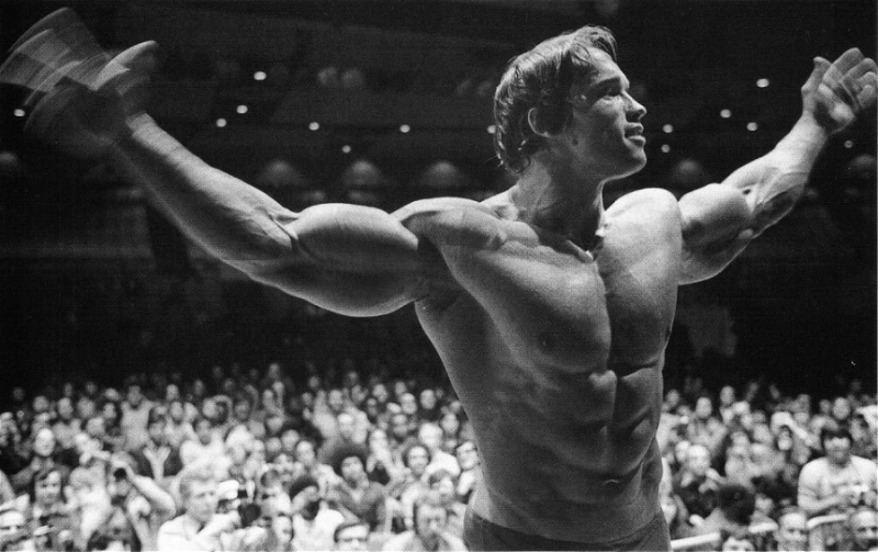   Arnold Schwarzeneggers beryktede kroppsbygning