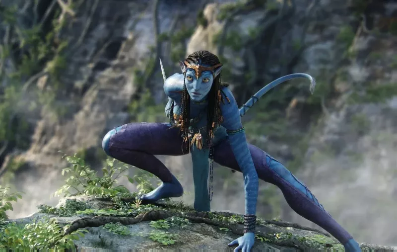 'Zoe était très attentionnée et gentille avec la femme': Avatar: The Way of Water Star Zoe Saldana a sauvé une femme âgée qui a rencontré un accident de voiture Grizzly, est devenue un héros