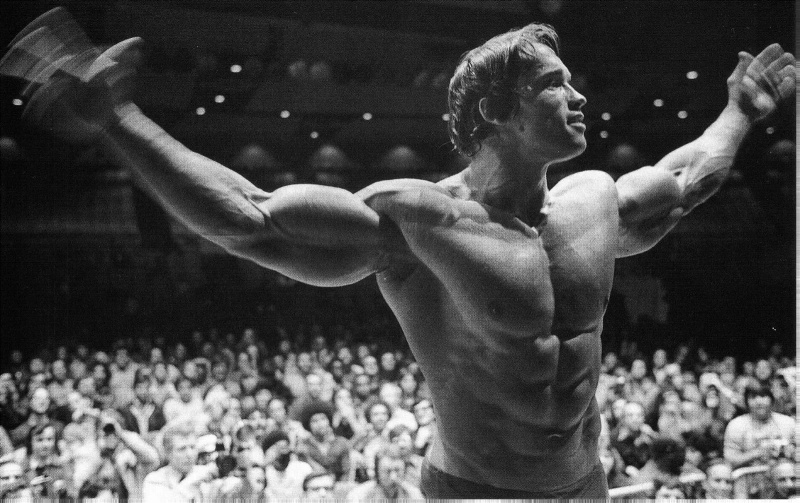   Arnold Schwarzenegger tijdens zijn bloei.