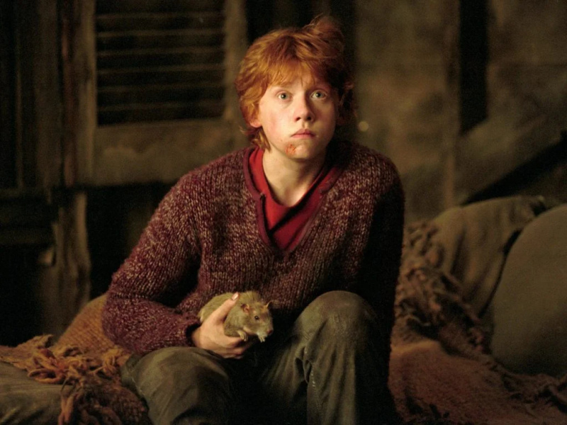   Harry Potter'da Rupert Grint