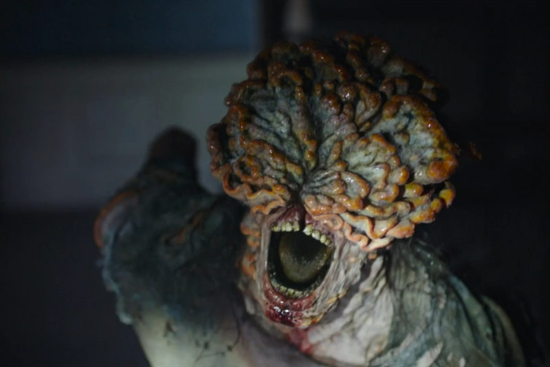   เอชบีโอ's The Last of Us: Every type of infected zombie - Polygon