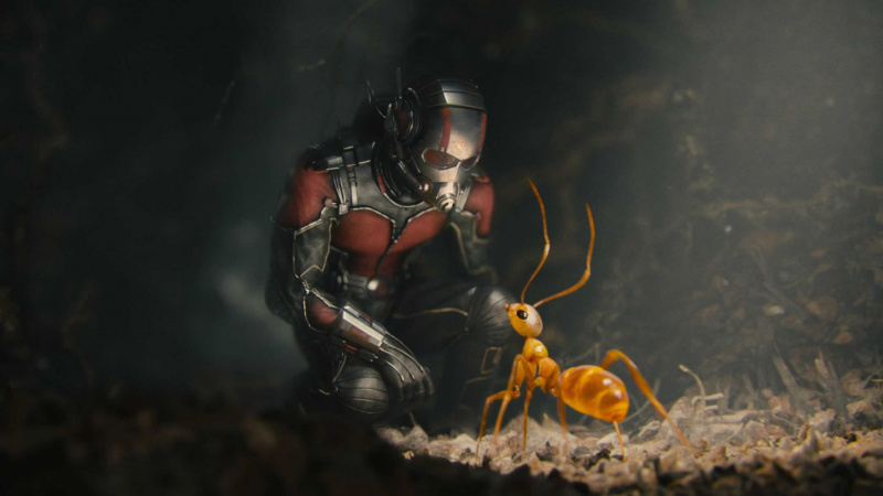 Verlässt Paul Rudd das MCU?: Scott Lang-Schauspieler sagt, dass er in „Ant-Man and the Wasp: Quantumania“ „etwas zwiespältig darüber ist, ein Superheld zu sein“.