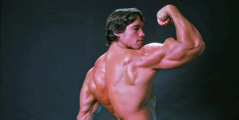 Arnold Schwarzenegger's Business Genius: Fitness nyhedsbrev 'Village' samler 310.000 læsere på 3 måneder uden at bruge en skilling