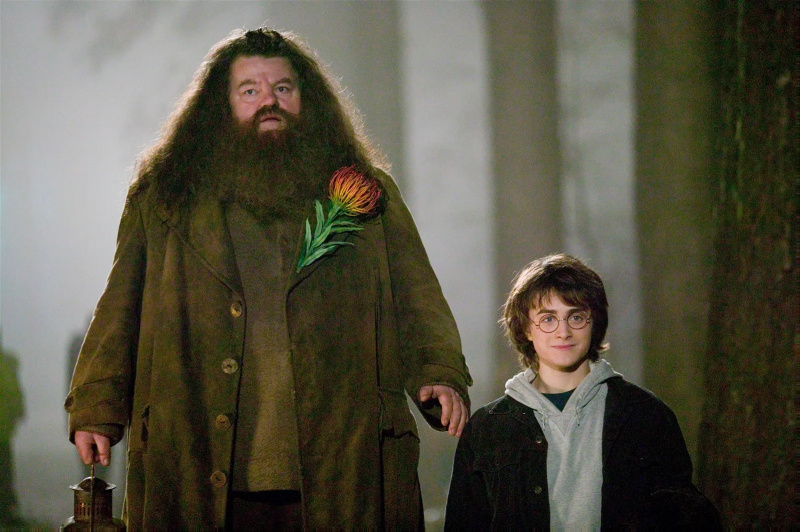   Robbie Coltrane nel ruolo di Hagrid