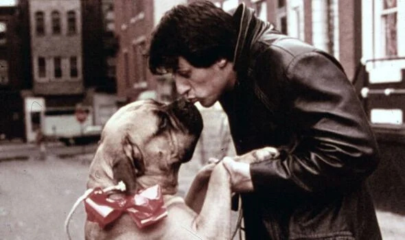 Силвестър Сталоун се противопостави на исканията на съпругата си да си върне кучето от мъж, който изнуди емблематична сцена в Роки от актьор в замяна