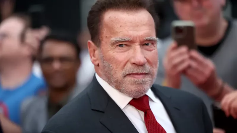 'Halter bile Arnie'nin önce iyileşmeme izin verdiğini söyledi': Arnold Schwarzenegger'in Acımasız Göğüs Rutini Hayranlarının Kalplerine Korku Salıyor