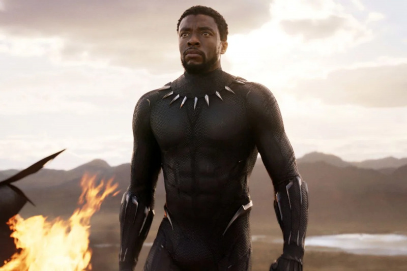   Чадуик Боузман като крал Т'Challa in Black Panther (2018).