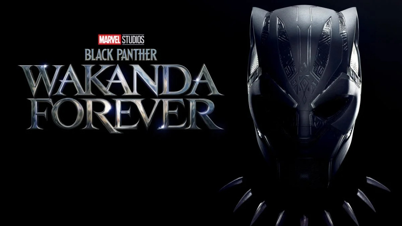   Črni panter: Wakanda za vedno