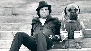   Sylvesteris Stallone ir jo šuo Rokio filmavimo aikštelėse