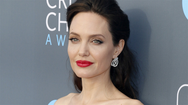 'Jeg ønsket å utdanne folk': Angelina Jolie hevder bare Netflix kunne produsere sin historiske thriller på 22 millioner dollar, avvist å jobbe med Hollywoods Mega Studios