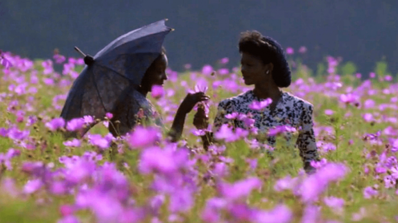   A lila szín (1985-ös film)