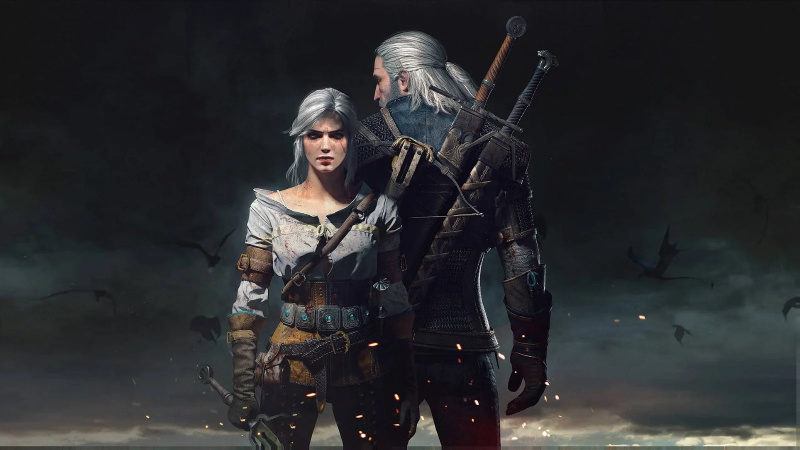   The Witcher