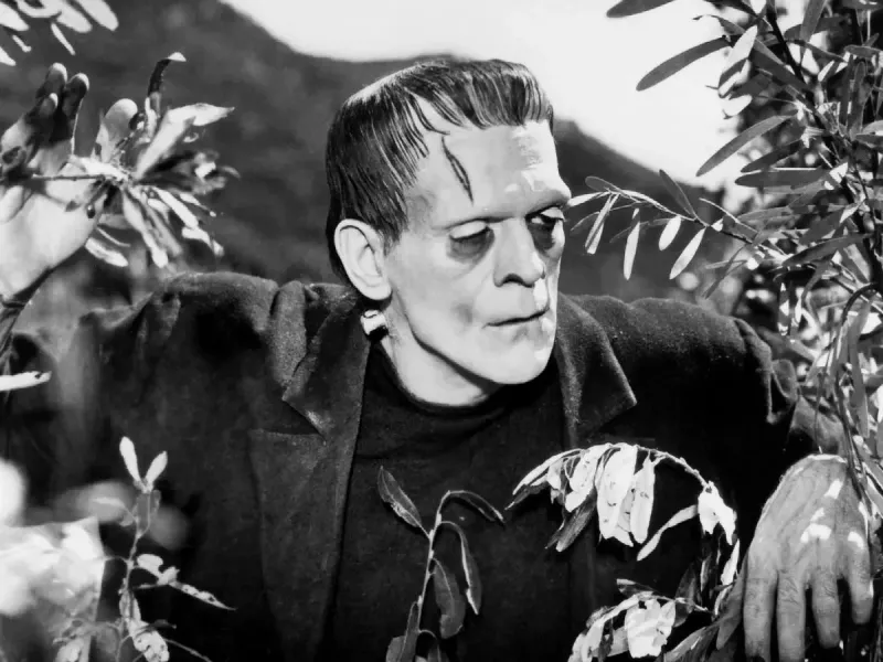   Frankenstein (1931.)