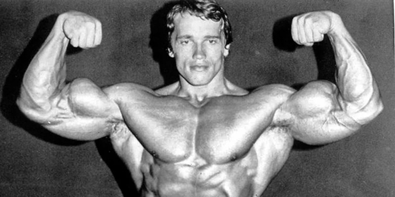   Arnoldas Schwarzeneggeris 3