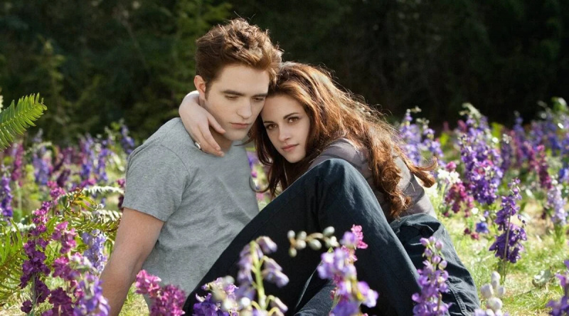 Regissören vill inte göra ännu en film med Robert Pattinson och Kristen Stewart efter deras fula uppbrott