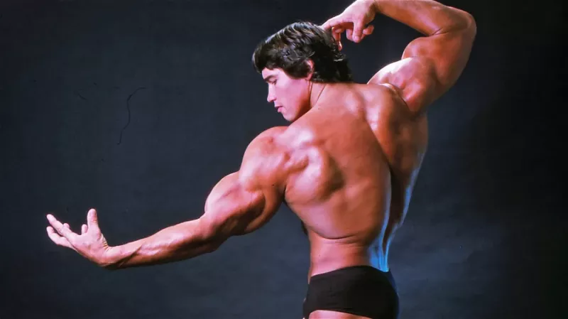   Arnold Schwarzenegger testépítő napjaiban
