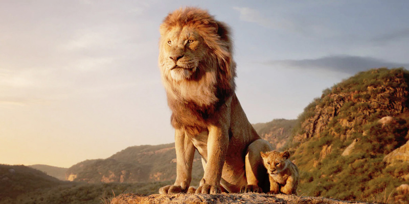  מלך האריות