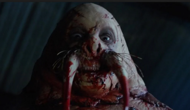 Kevin Smith ontwikkelt mogelijk een vervolg op zijn vreemdste film 'Tusk'