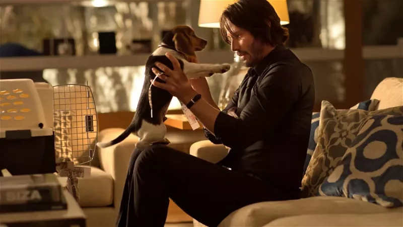   John Wick mit seinem Beagle