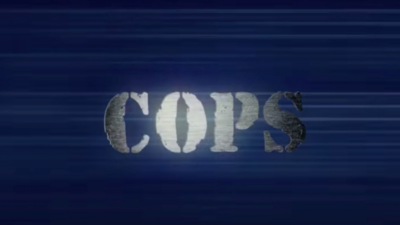   תוכנית טלוויזיה של שוטרים