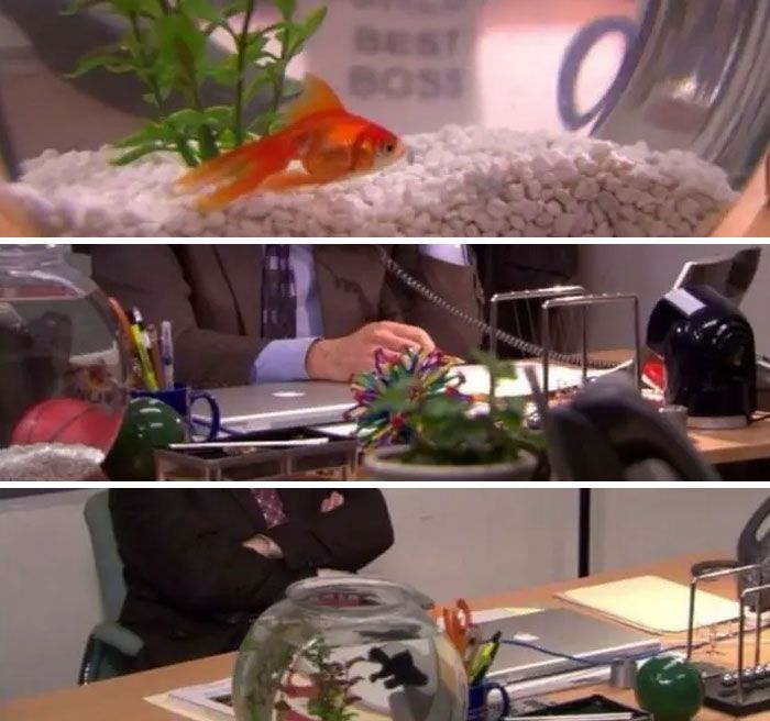בכל פרק עם חברת מייקל סקוט נייר, למייקל יש דג חדש בקערה שלו - הוא כנראה היה