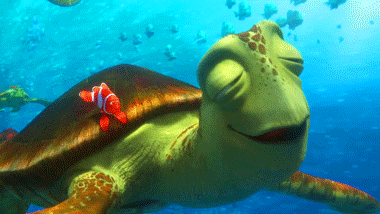 Finding Nemo Crush GIF - Вземете най-добрия GIF на GIPHY