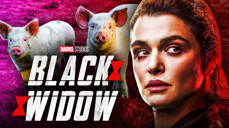   Alexei the Pig Black Widow cast