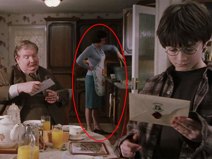   In'The Sorcerer's Stone,' You Can See Aunt Petunia Dying Dudley's Old Clothes Gray For Harry's School Uniform, Which Was A Scene In The Books