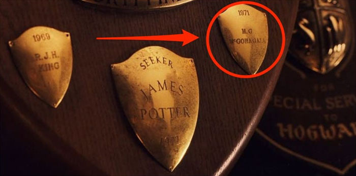   Σε'The Sorcerer's Stone,' You Can See Mcgonagall's Name On The Quidditch Trophy Right Next To James Potter