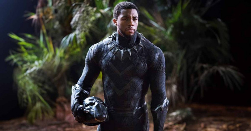   Chadwick Boseman als Black Panther