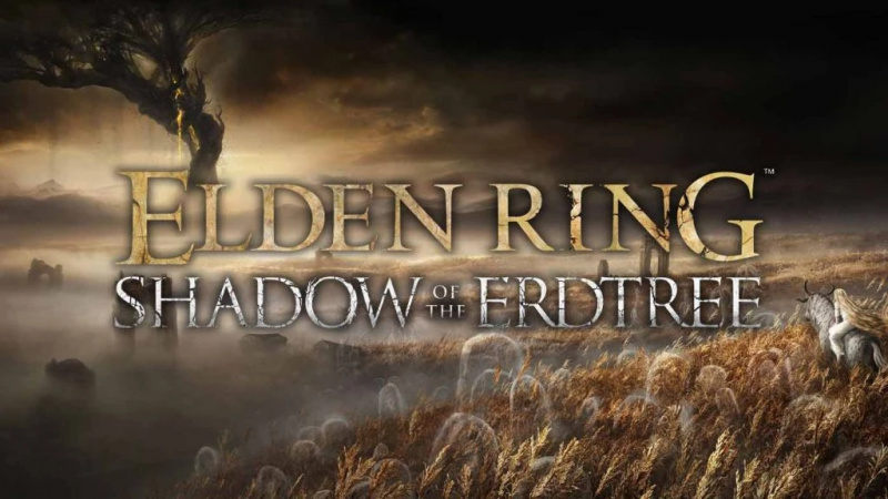 «Та же философия использована в Shadow of the Erdtree»: DLC Elden Ring следует франшизе «Первый пример» основного игрового набора, по словам Хидэтаки Миядзаки