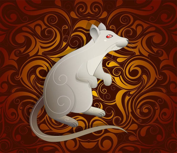 Ratto in zodiaco cinese